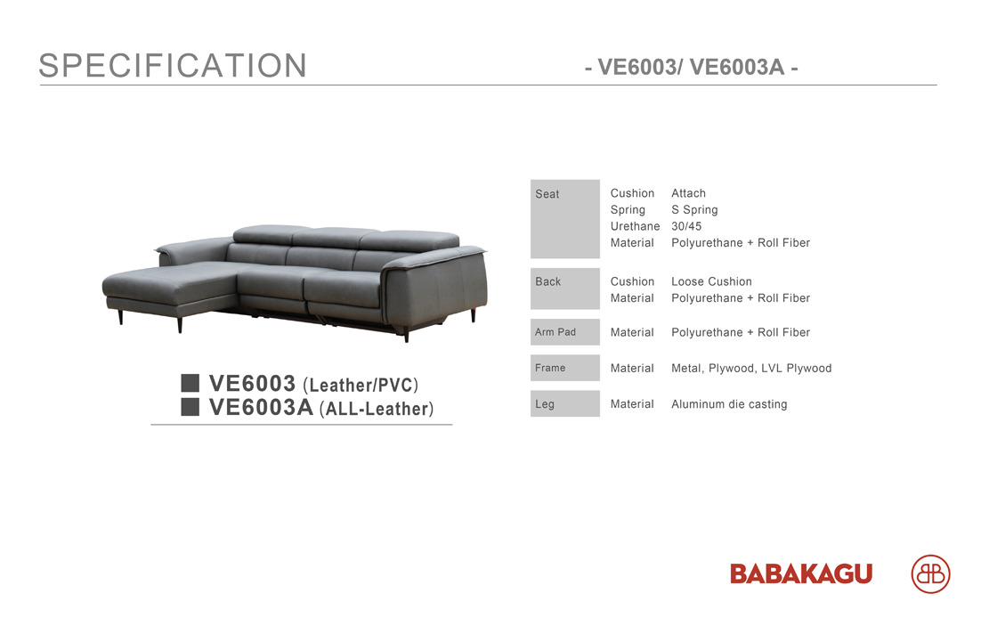 1.ve6003-3.jpg